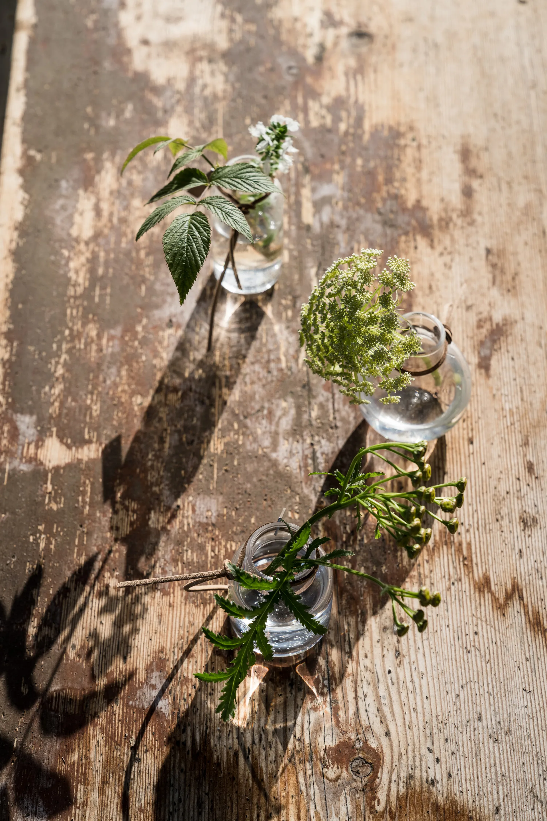 Set de jarrones Ernst de regalo 3 piezas, Claro ERNST