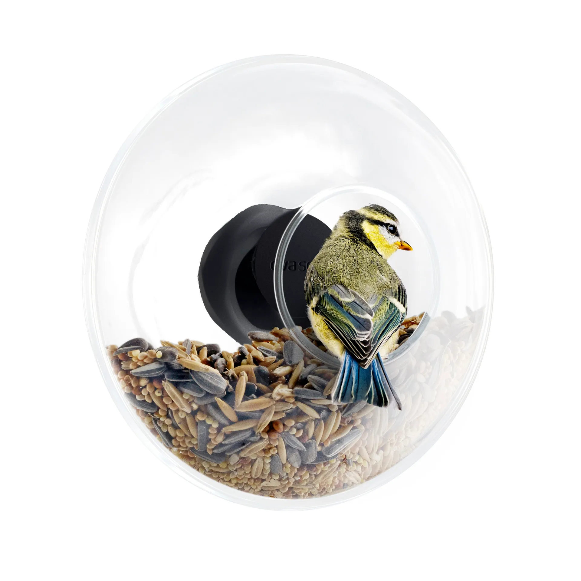 Comedero aves para ventana Eva Solo, Ø 14,3 cm Eva Solo