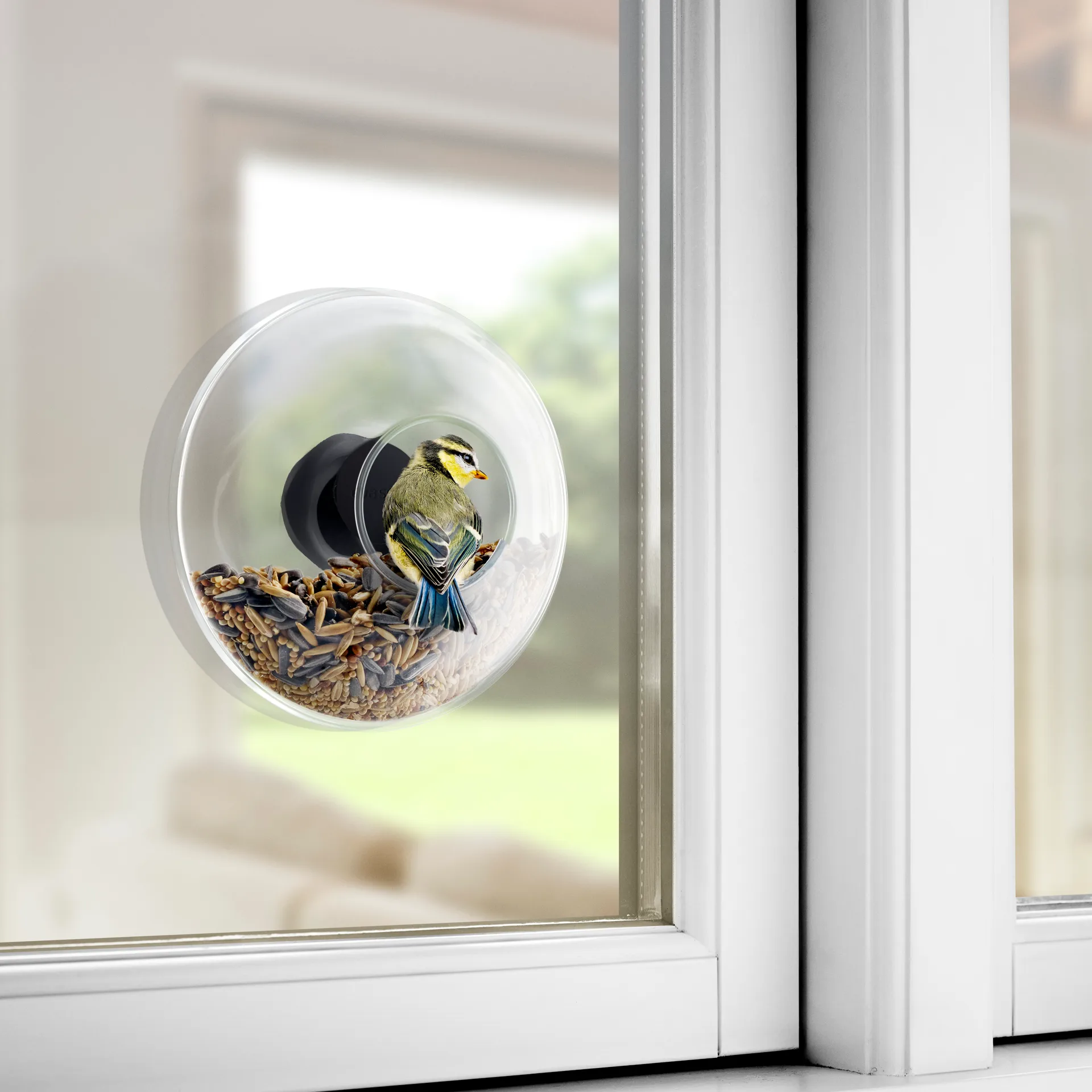Comedero aves para ventana Eva Solo, Ø 14,3 cm Eva Solo