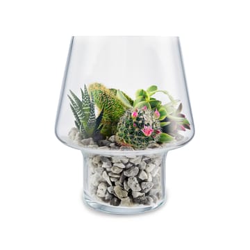 Jarrón de vidrio para planta suculenta Eva Solo - Ø15 cm - Eva Solo