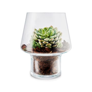 Jarrón de vidrio para planta suculenta Eva Solo - Ø15 cm - Eva Solo