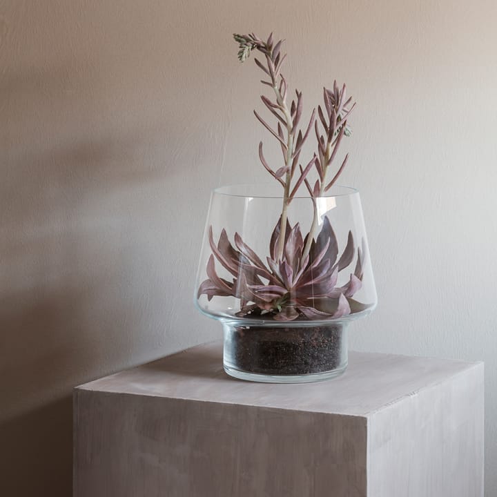 Jarrón de vidrio para planta suculenta Eva Solo - Ø21 cm - Eva Solo