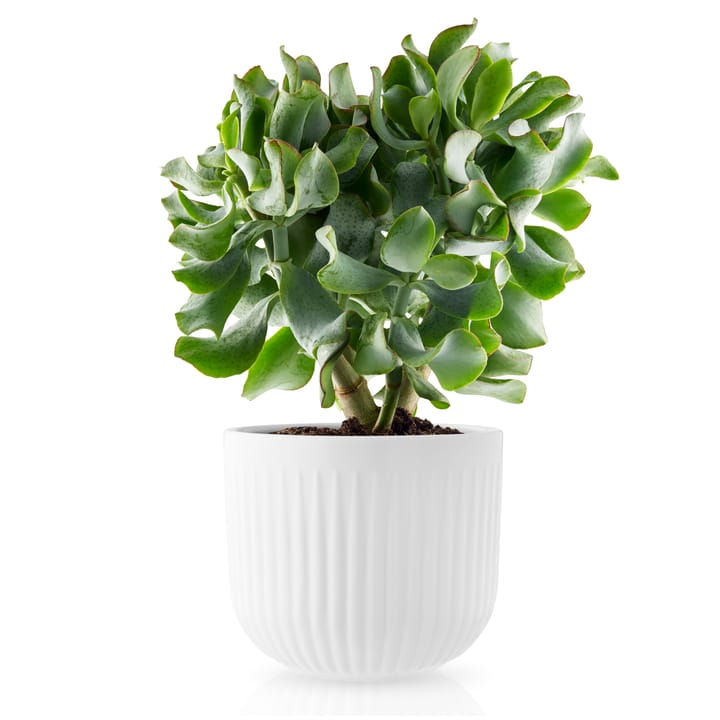 Maceta Eva Trio Legio Nova blanco, Grande ø15.5 cm Eva Solo