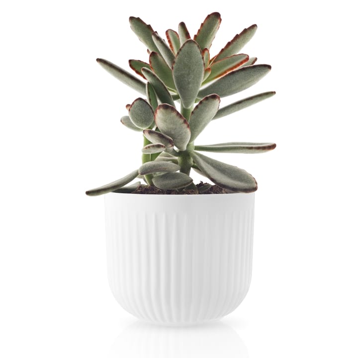 Maceta Eva Trio Legio Nova blanco, Pequeña ø13 cm Eva Solo