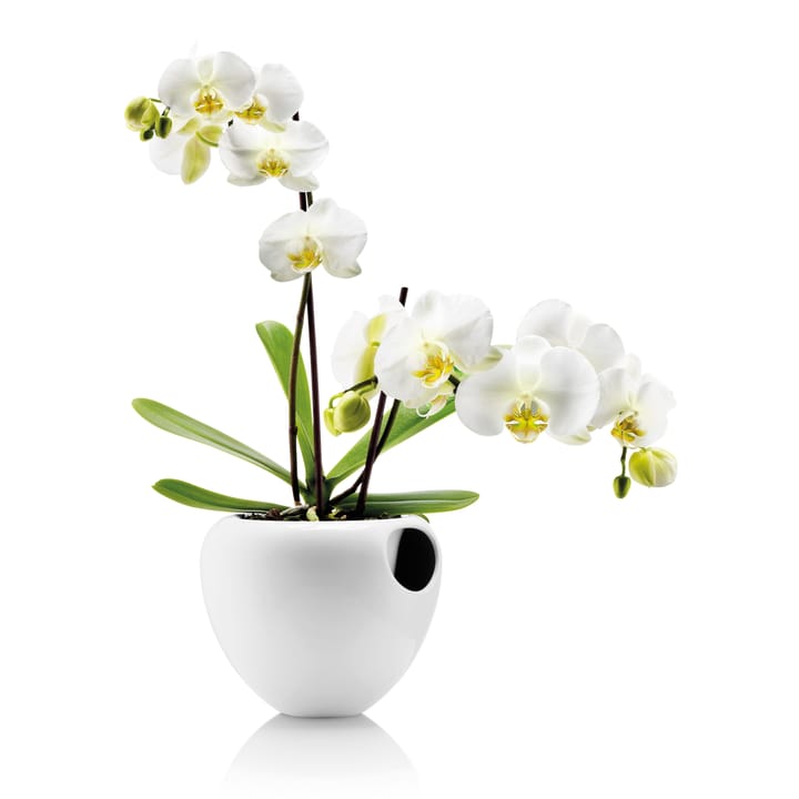 Maceta orquídea Ø18 cm - blanco - Eva Solo
