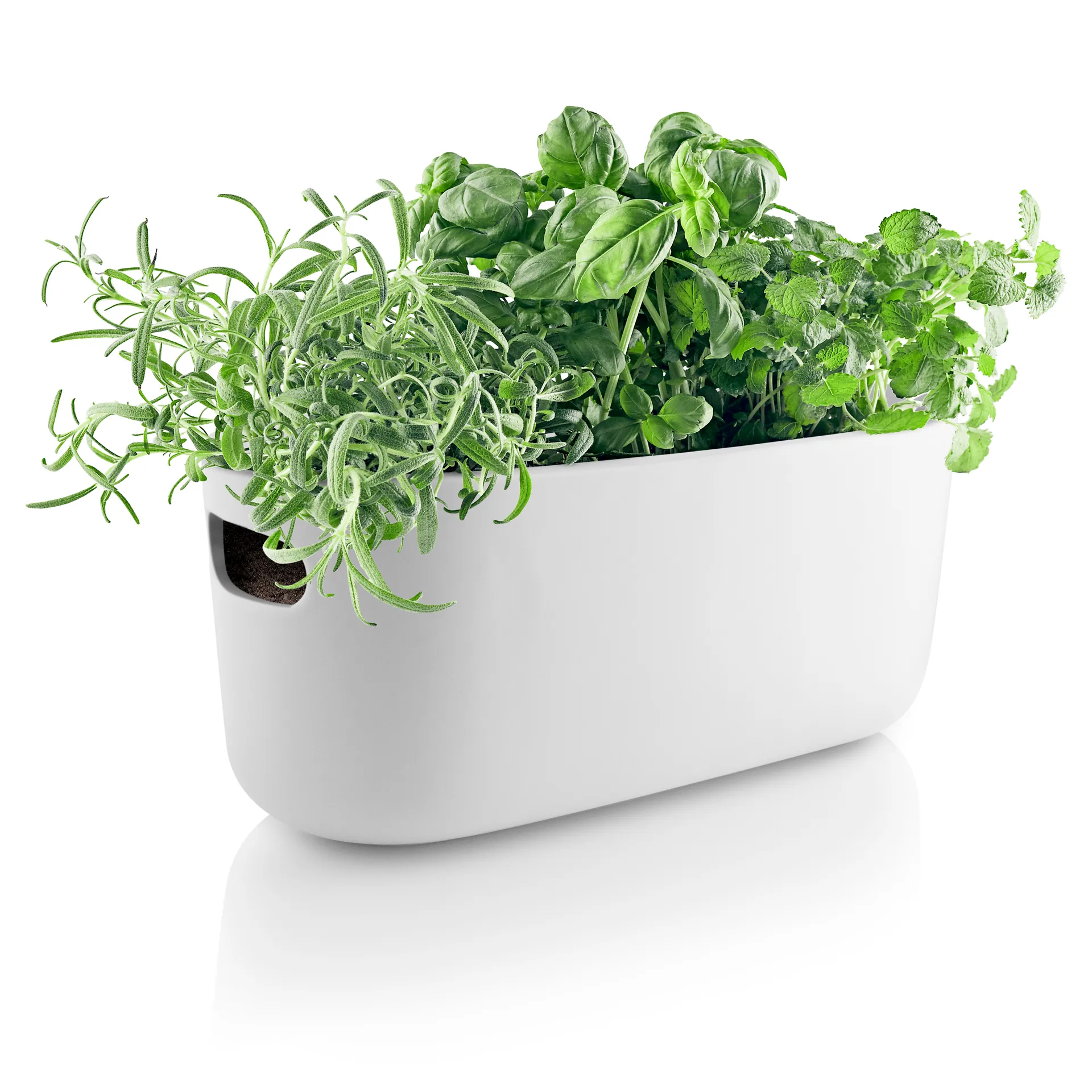 Organizador de hierbas con auto-riego Eva Solo, blanco Eva Solo