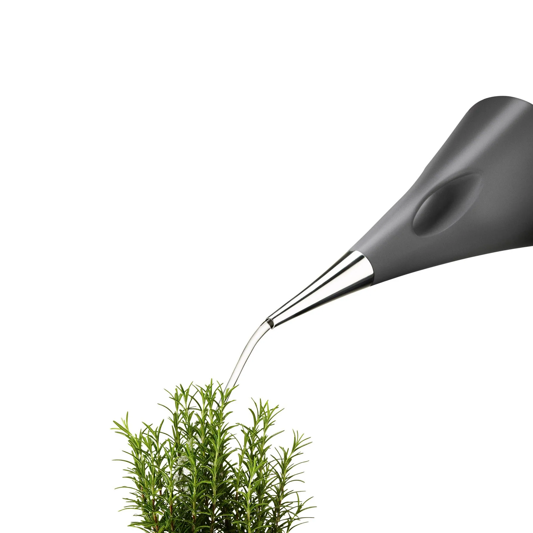 Regadera AquaStar, gris Eva Solo