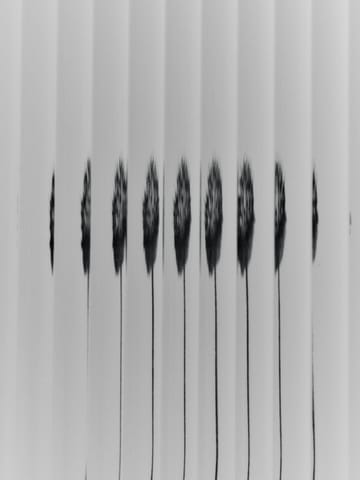 Armario de pared Haze 35x100 cm - Cashmere - Ferm Living