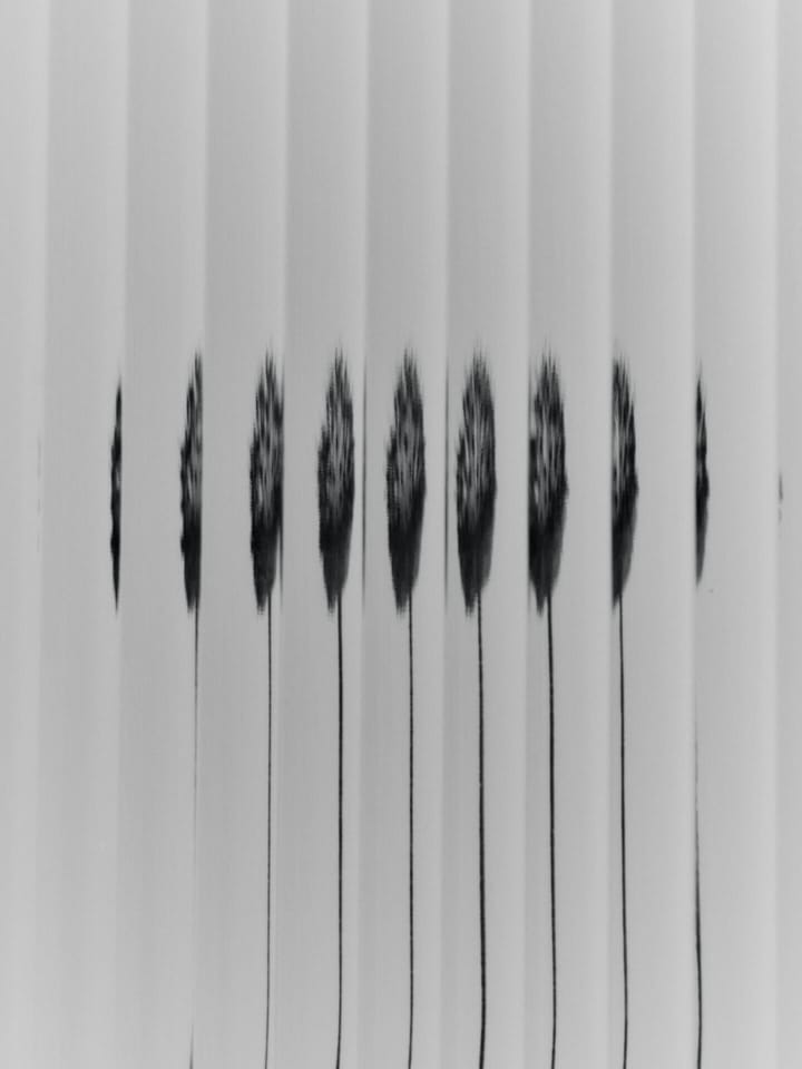 Armario de pared Haze 35x100 cm, Cashmere Ferm Living