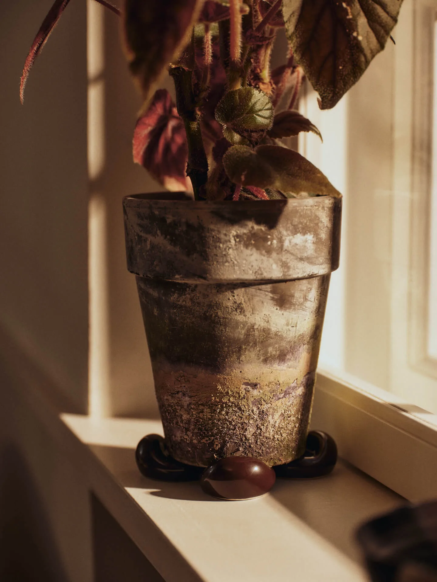 Base Nube para maceta, 4-pack, Carob brown Ferm Living