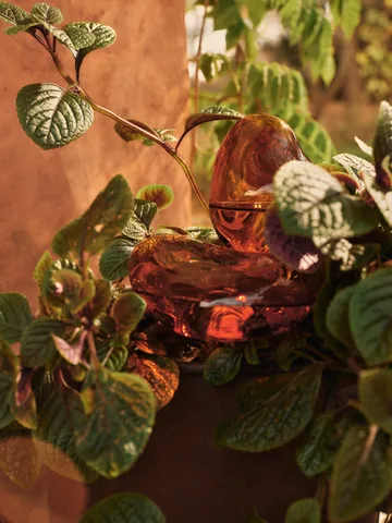 Globos de riego Mercury 2 piezas - Amber, 12x18,5 cm - Ferm Living