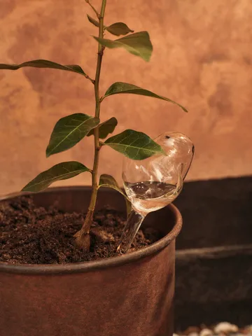 Globos de riego Mercury 2 piezas - Clear, 12x18,5 cm - Ferm Living