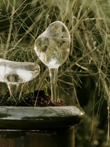 Globos de riego Mercury 2 piezas - Clear, 15x24 cm - Ferm Living