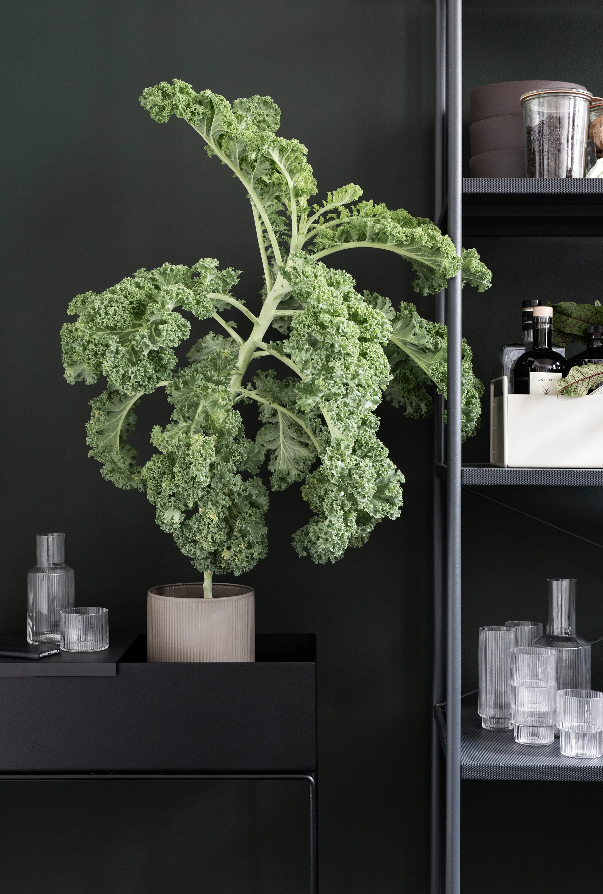 Macetero Plant Box ferm LIVING, negro Ferm Living