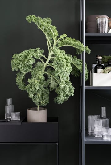 Macetero Plant Box ferm LIVING - negro - Ferm Living
