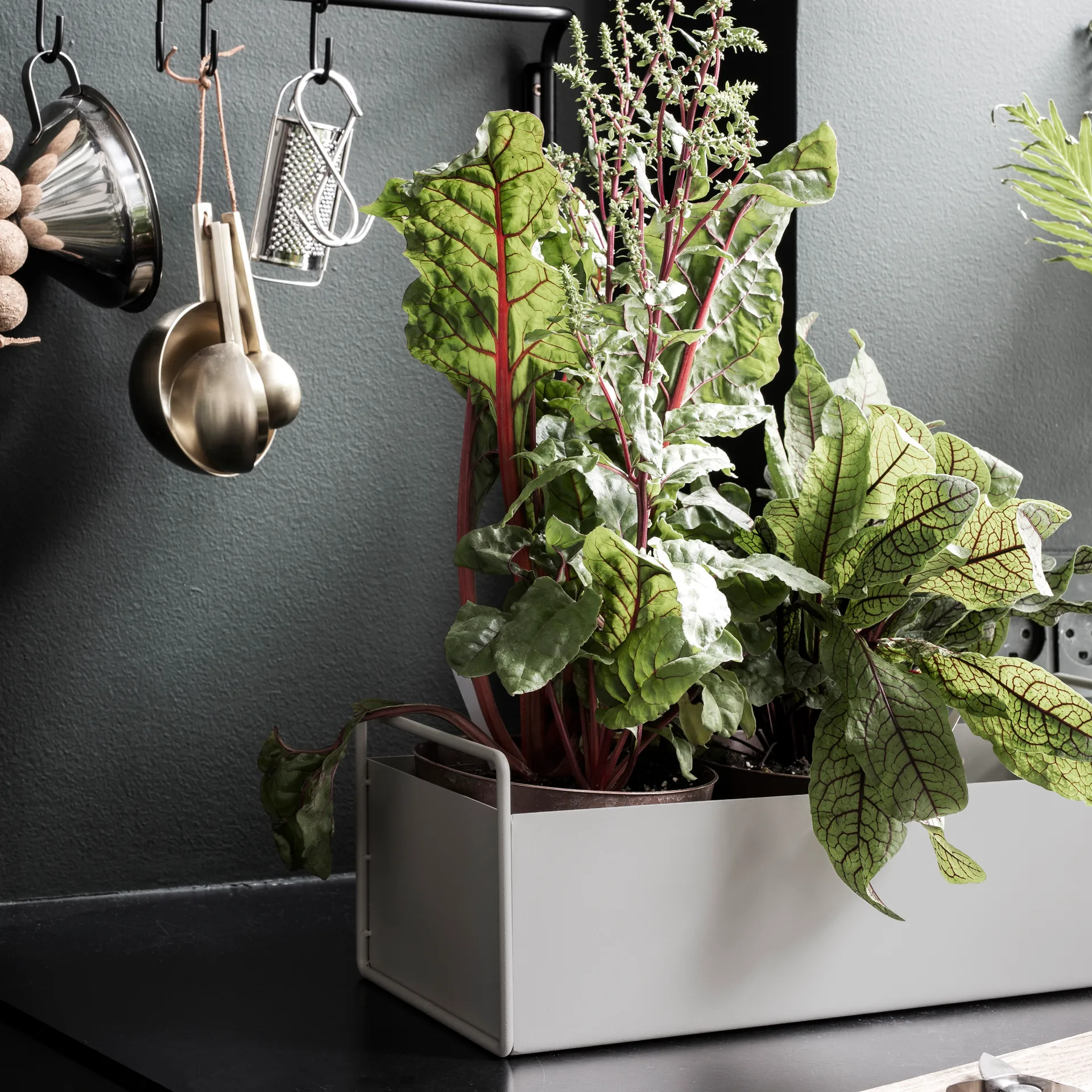 Macetero Plant Box S, gris claro Ferm Living