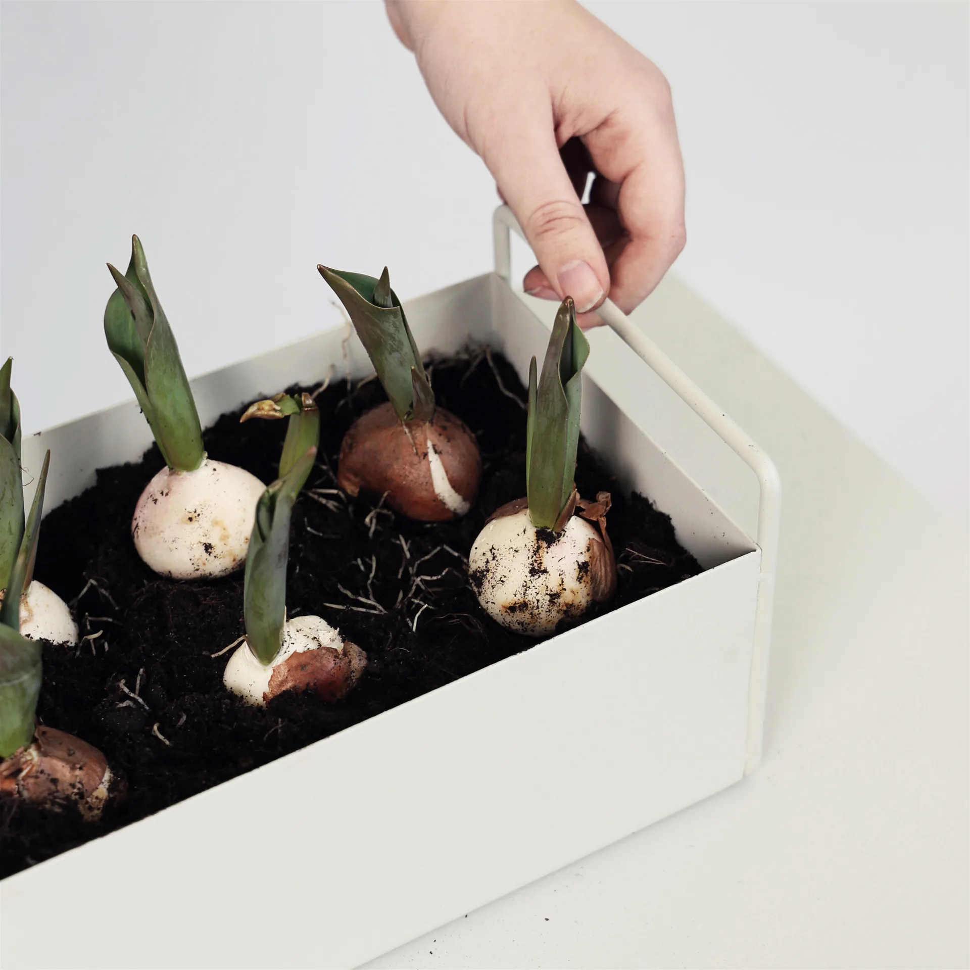 Macetero Plant Box S, gris claro Ferm Living
