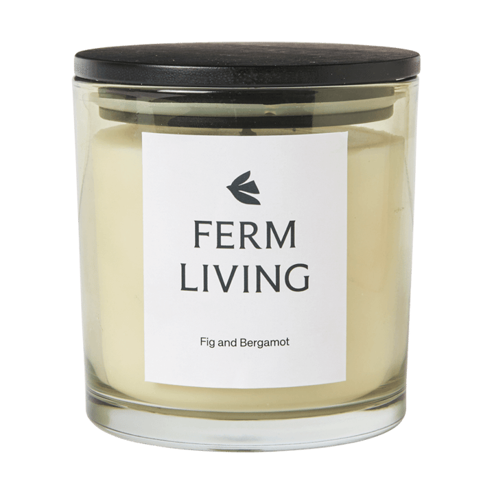 Vela aromática Vitto 45 h - Light Celedon - Ferm Living