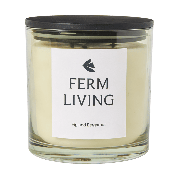 Vela aromática Vitto 50 h - Light Celedon - Ferm Living