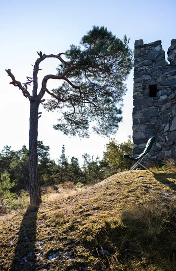 Silla para tomar el sol Fiesta Soft - Tela dark green, estructura de aluminio - Fiam