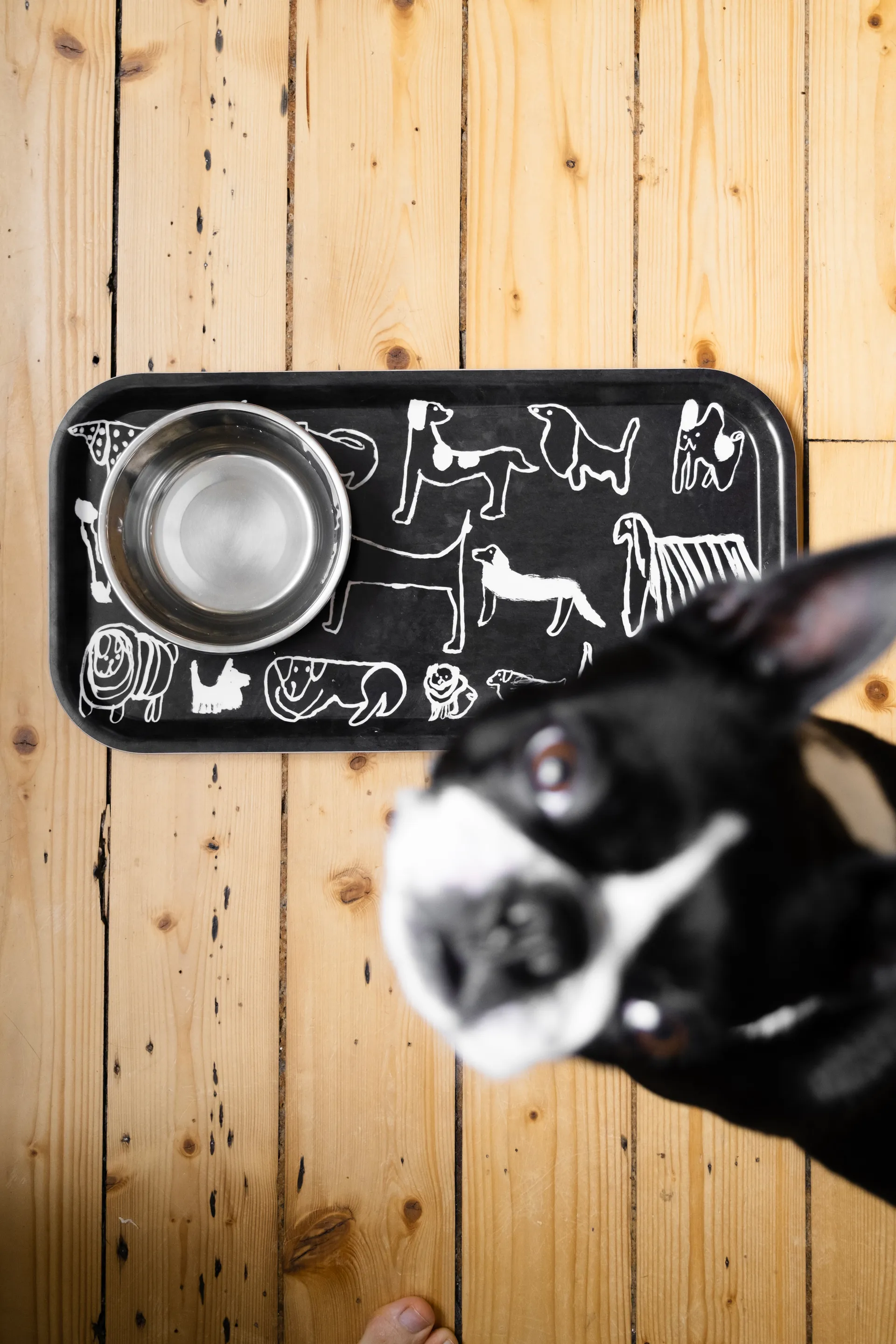 Bandeja Dogs  22x43 cm, Black-white Fine Little Day
