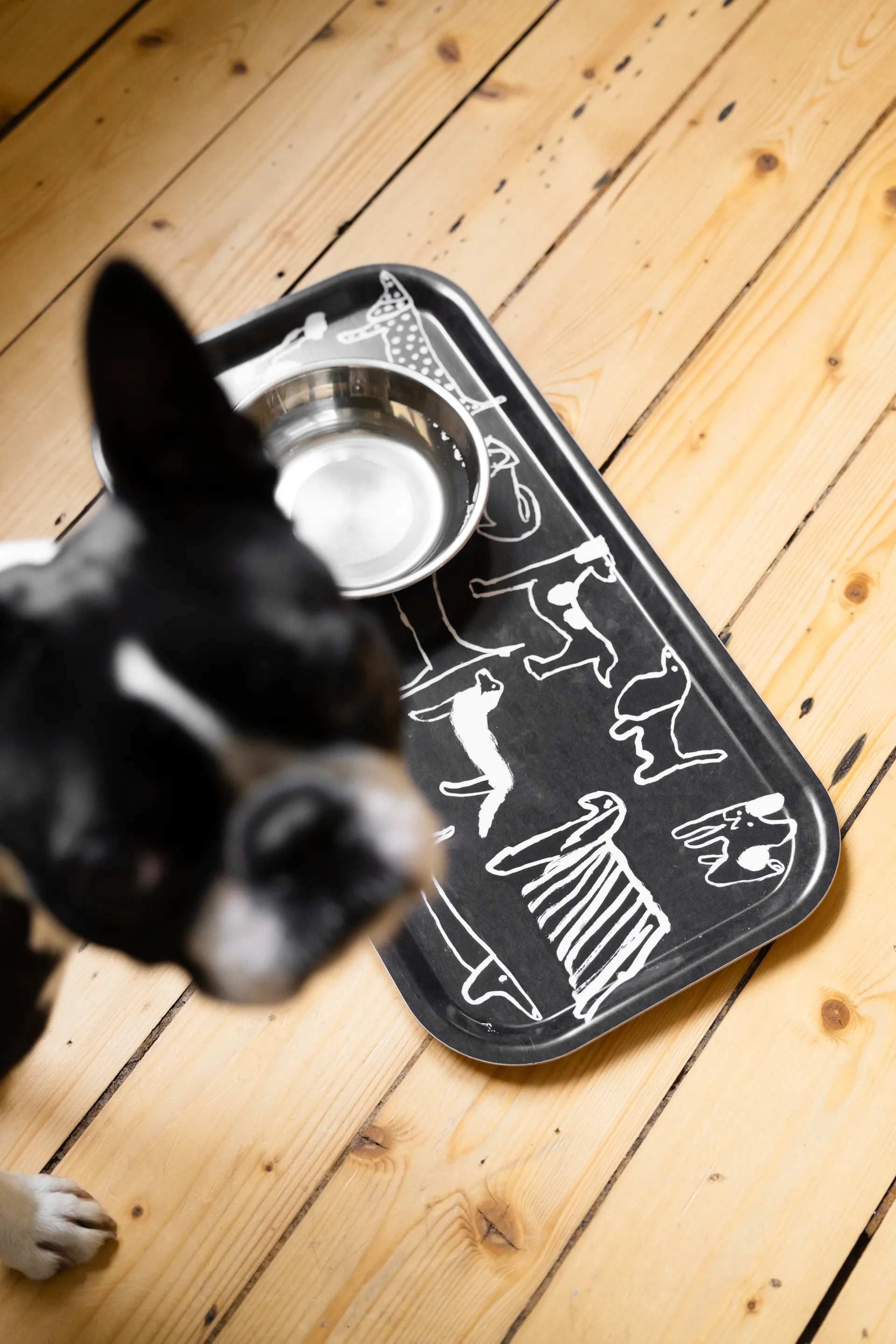Bandeja Dogs  22x43 cm, Black-white Fine Little Day