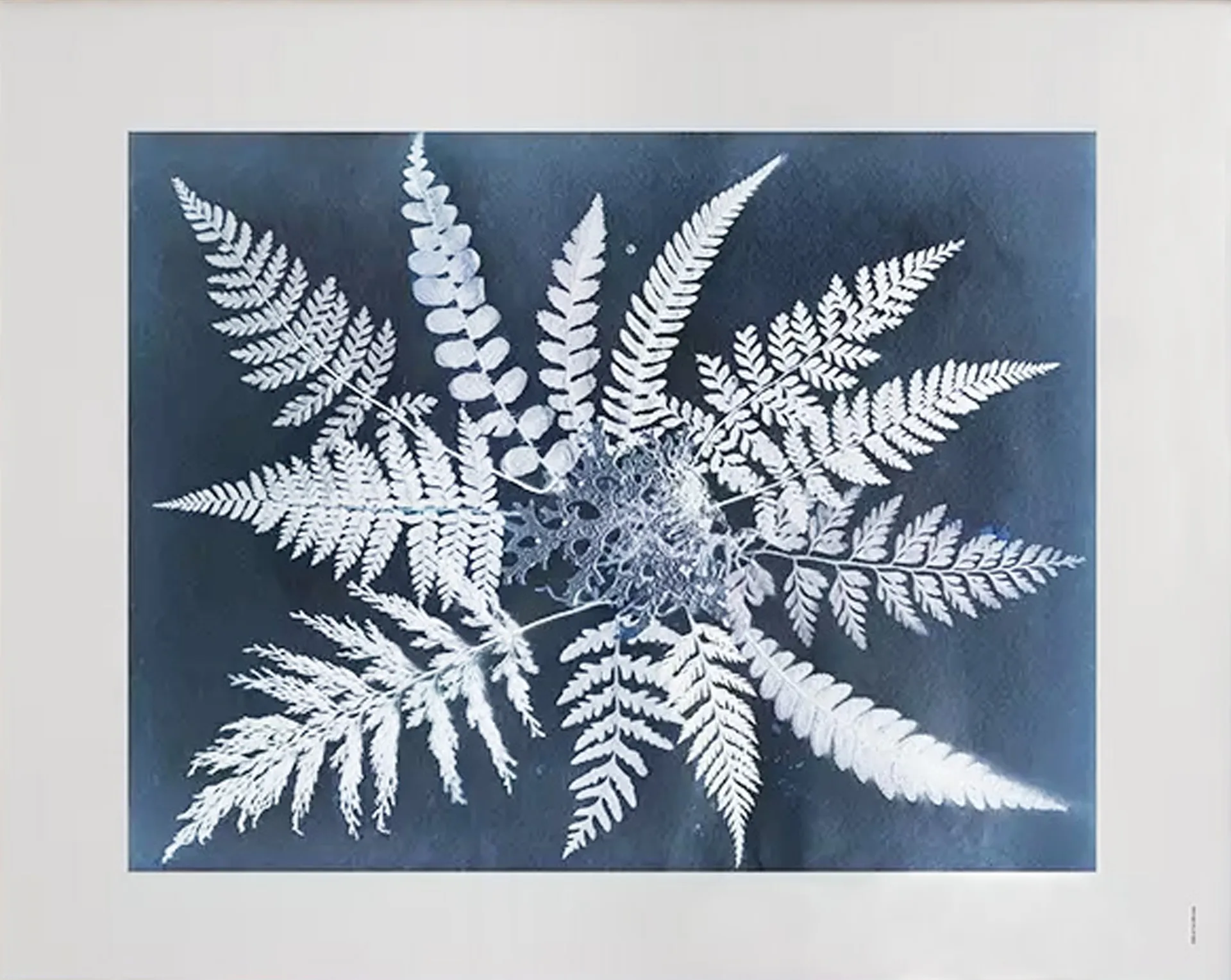 Lámina Fern star, 40x50 cm Fine Little Day