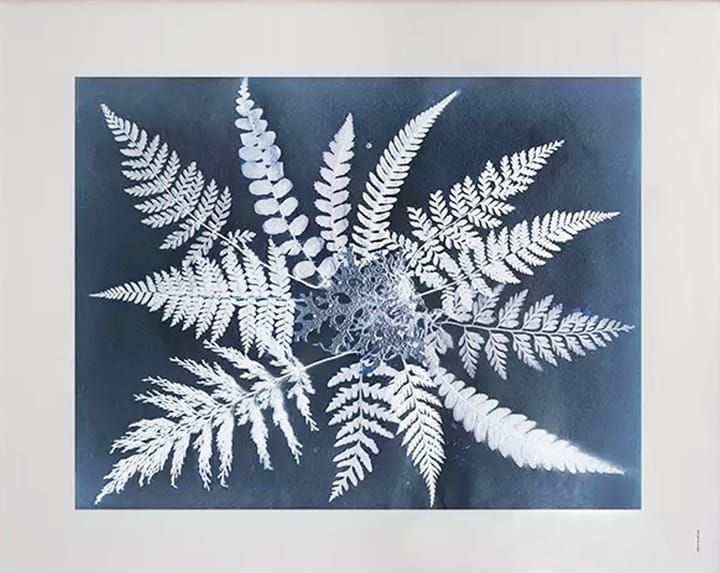 Lámina Fern star - 40x50 cm - Fine Little Day