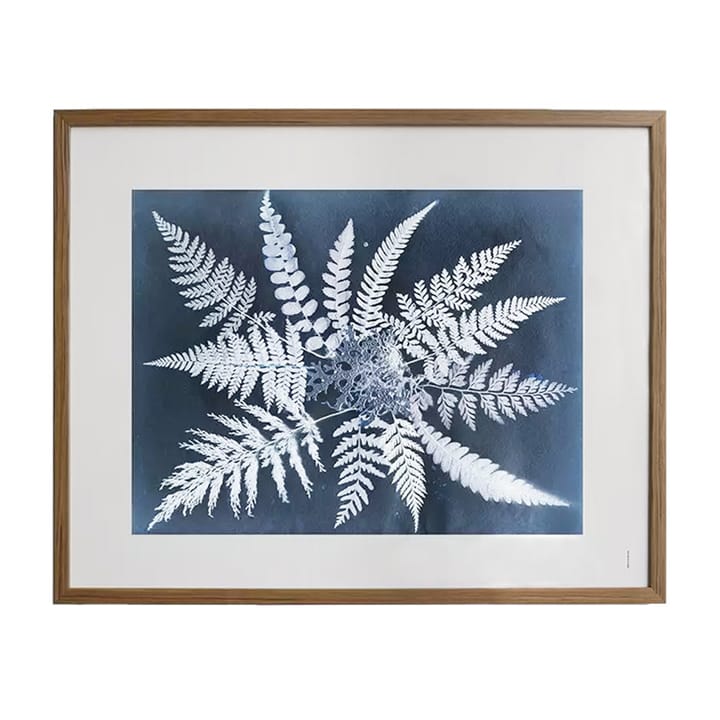 Lámina Fern star, 40x50 cm Fine Little Day