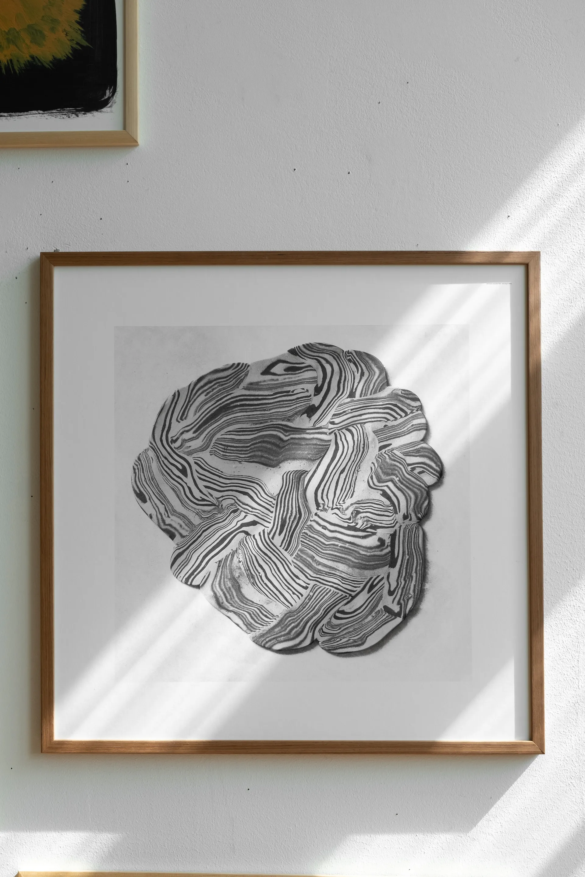 Lámina Hoshino, 50x50 cm Fine Little Day