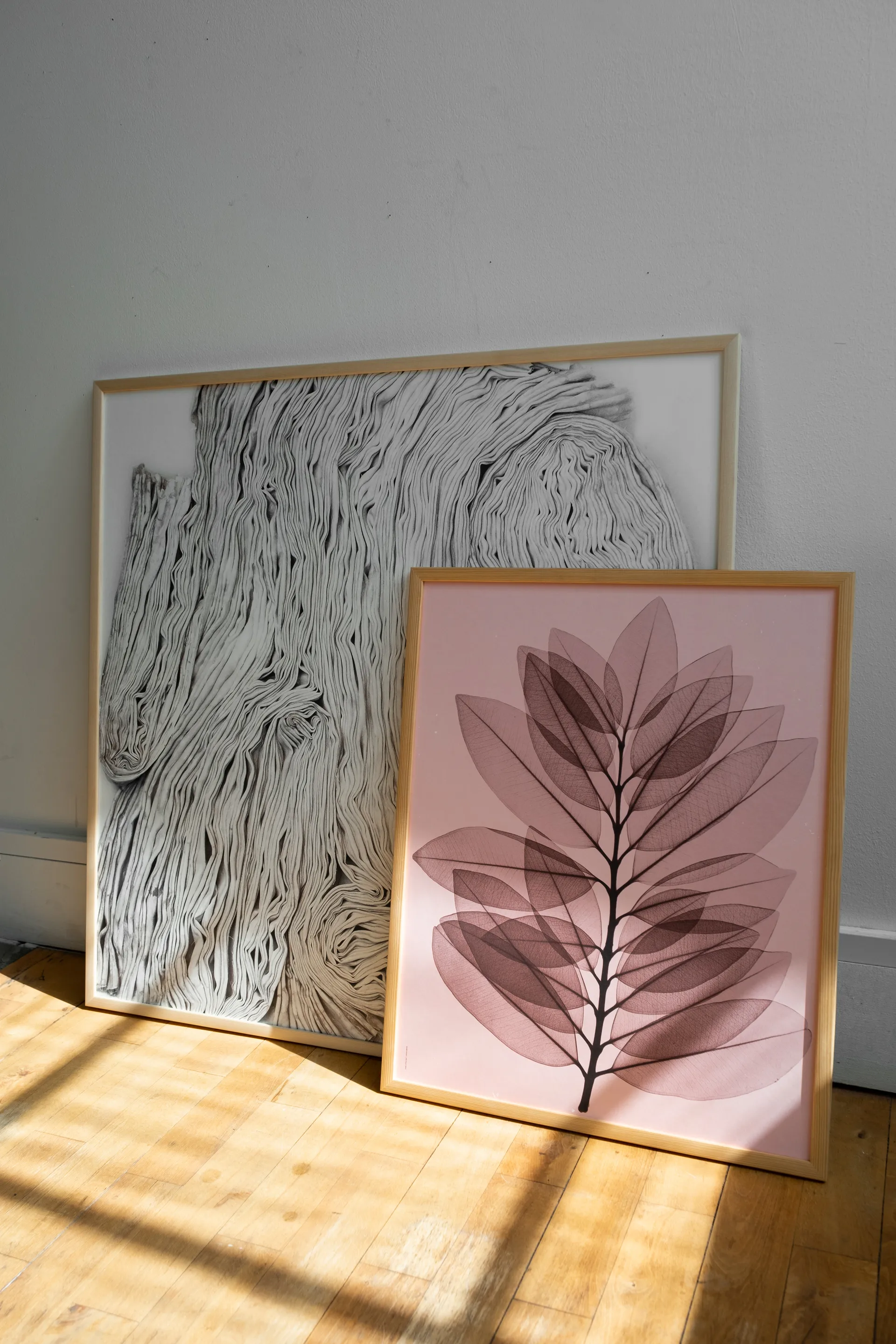 Lámina Metrosideros excelsea, 40x50 cm Fine Little Day