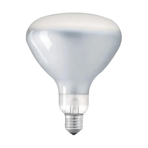 Fuente de luz LED R125 E27 - 2700K 1180lm 12W - Flos