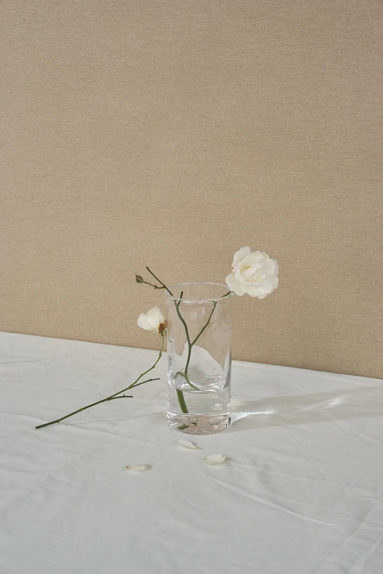 Jarrón 0405, Transparente, Ø9,5x20 cm FRAMA
