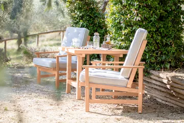 Sillón 05 - Redwood - Fri Form