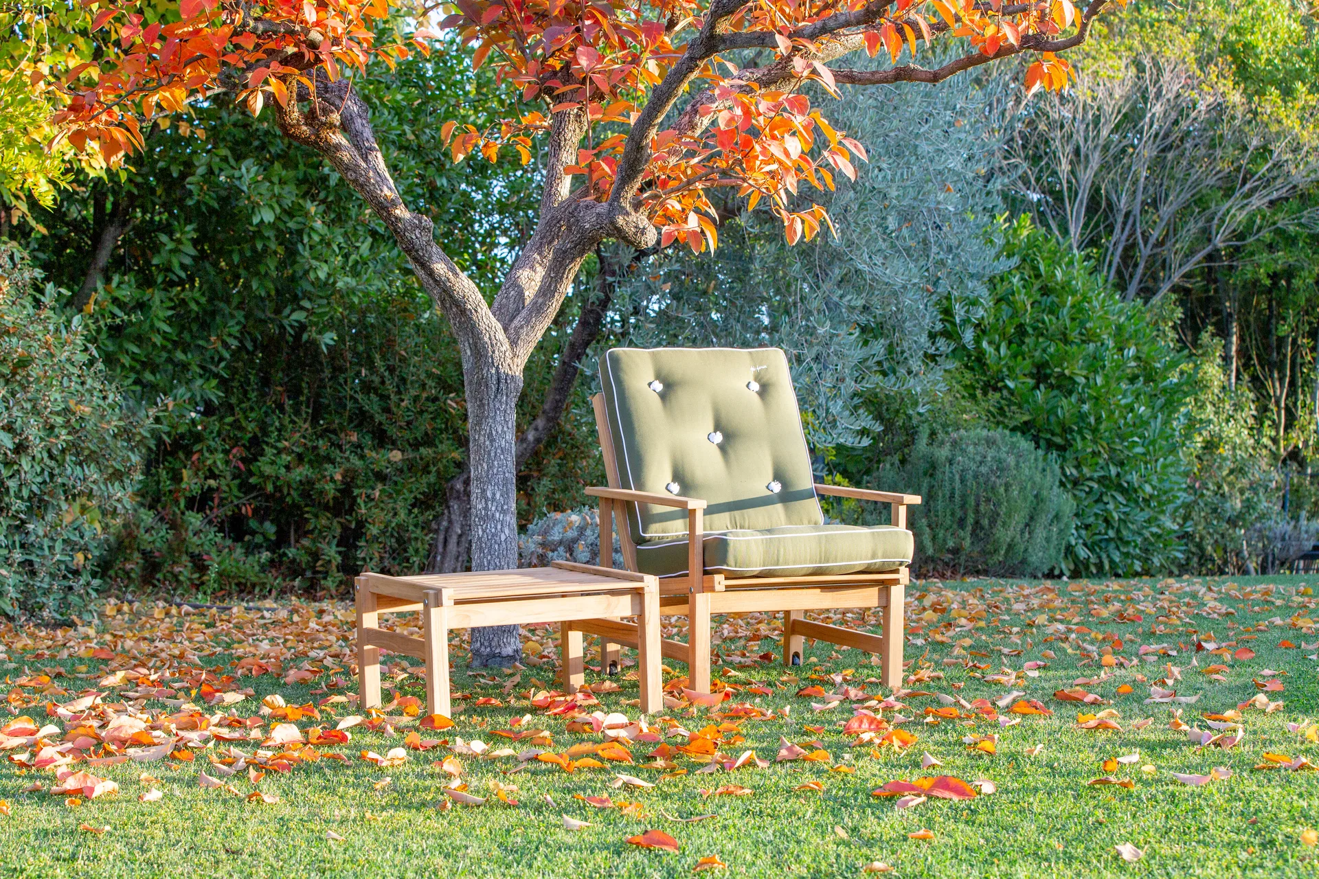 Sillón 05, Teca Fri Form