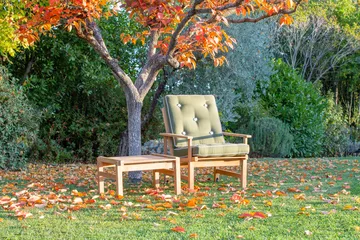 Sillón 05 - Teca - Fri Form