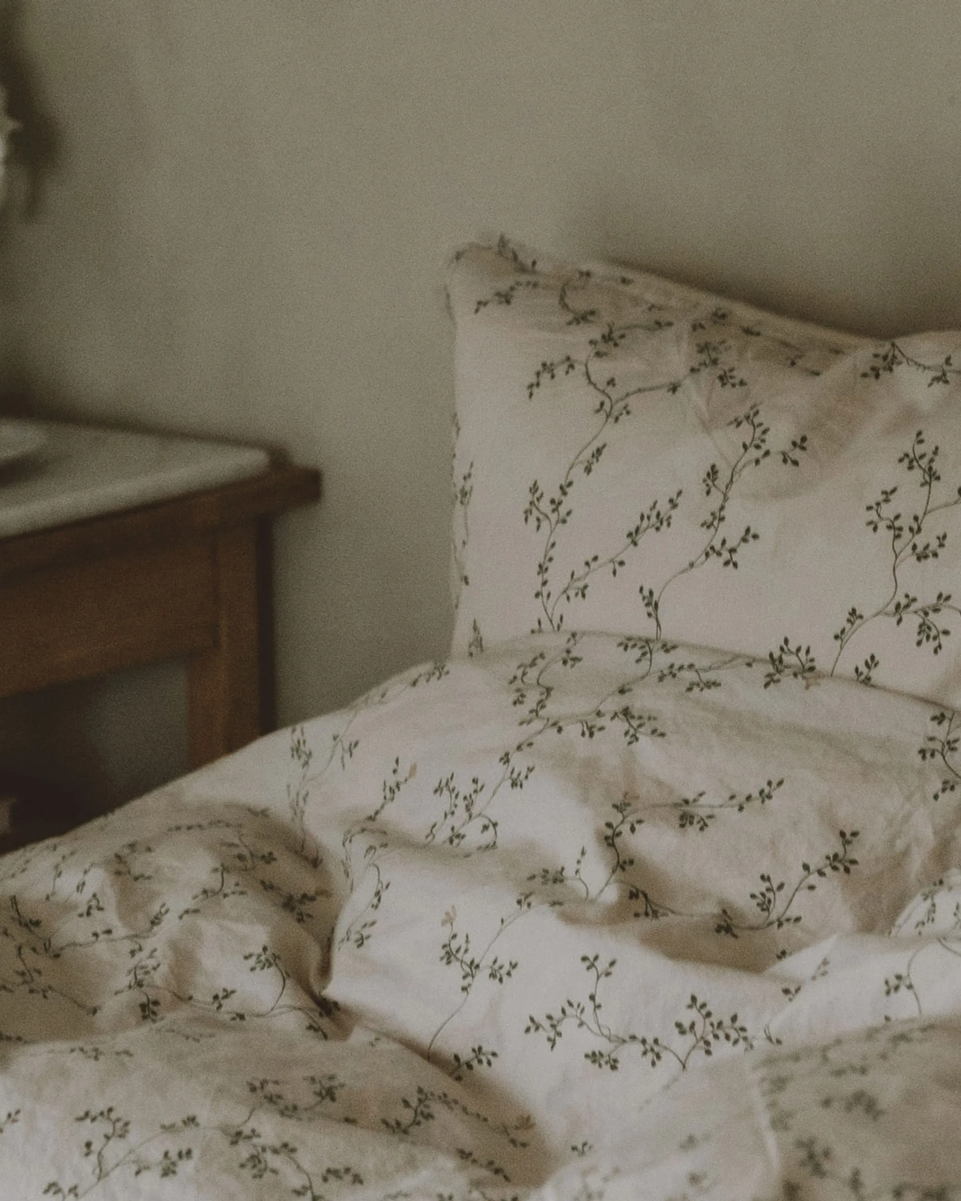 Funda de almohada Botany, 50x70 cm Garbo&Friends