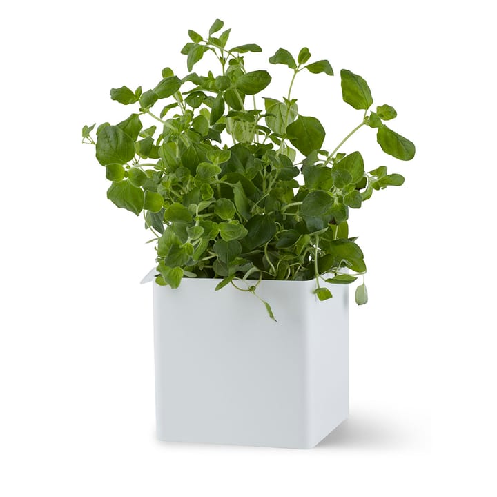 Caja Flex Box pequeña 10,5 cm, blanco Gejst