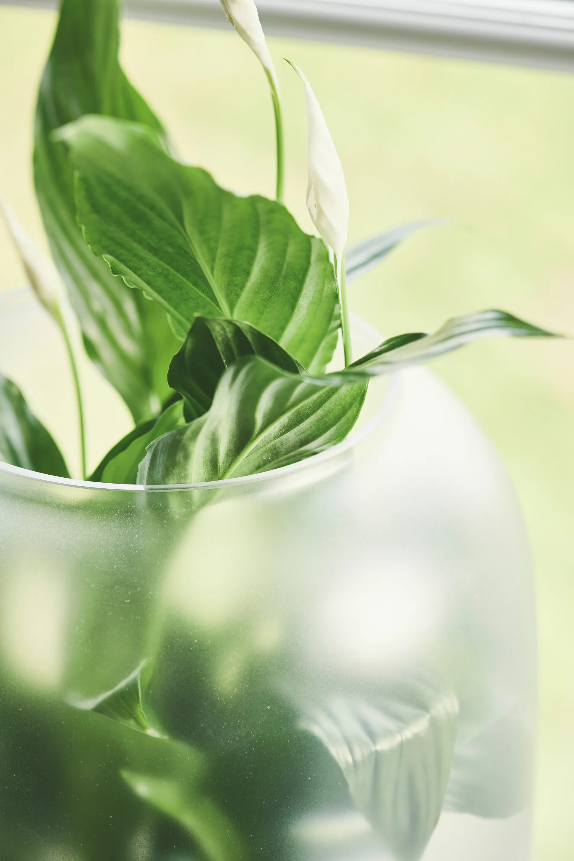 Maceta con cristal pavonado Nebl Ø26 cm, Gris Gejst