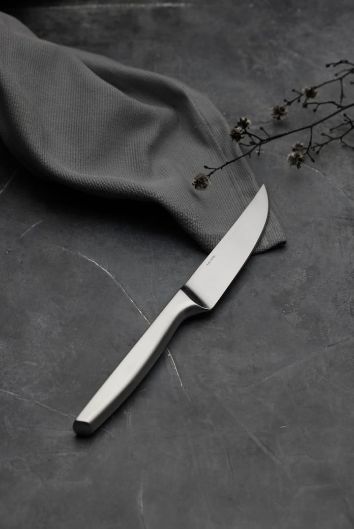 Cuchillo de carne Norm 4 unidades, Acero inoxidable mate Gense