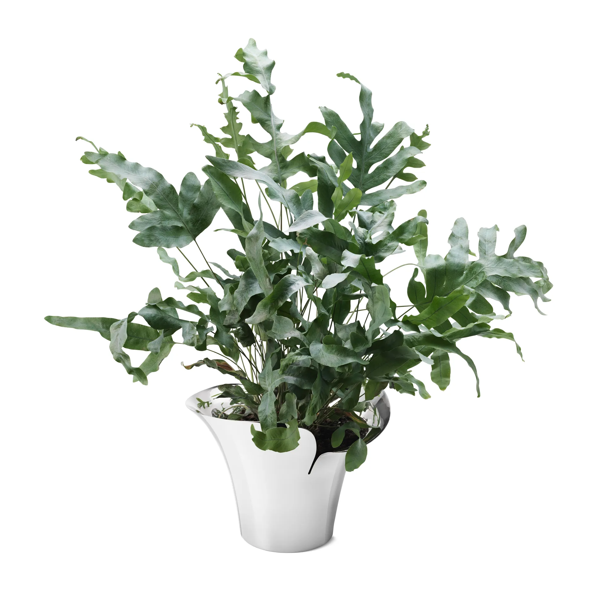 Maceta Bloom Botanica, Ø19 cm Georg Jensen