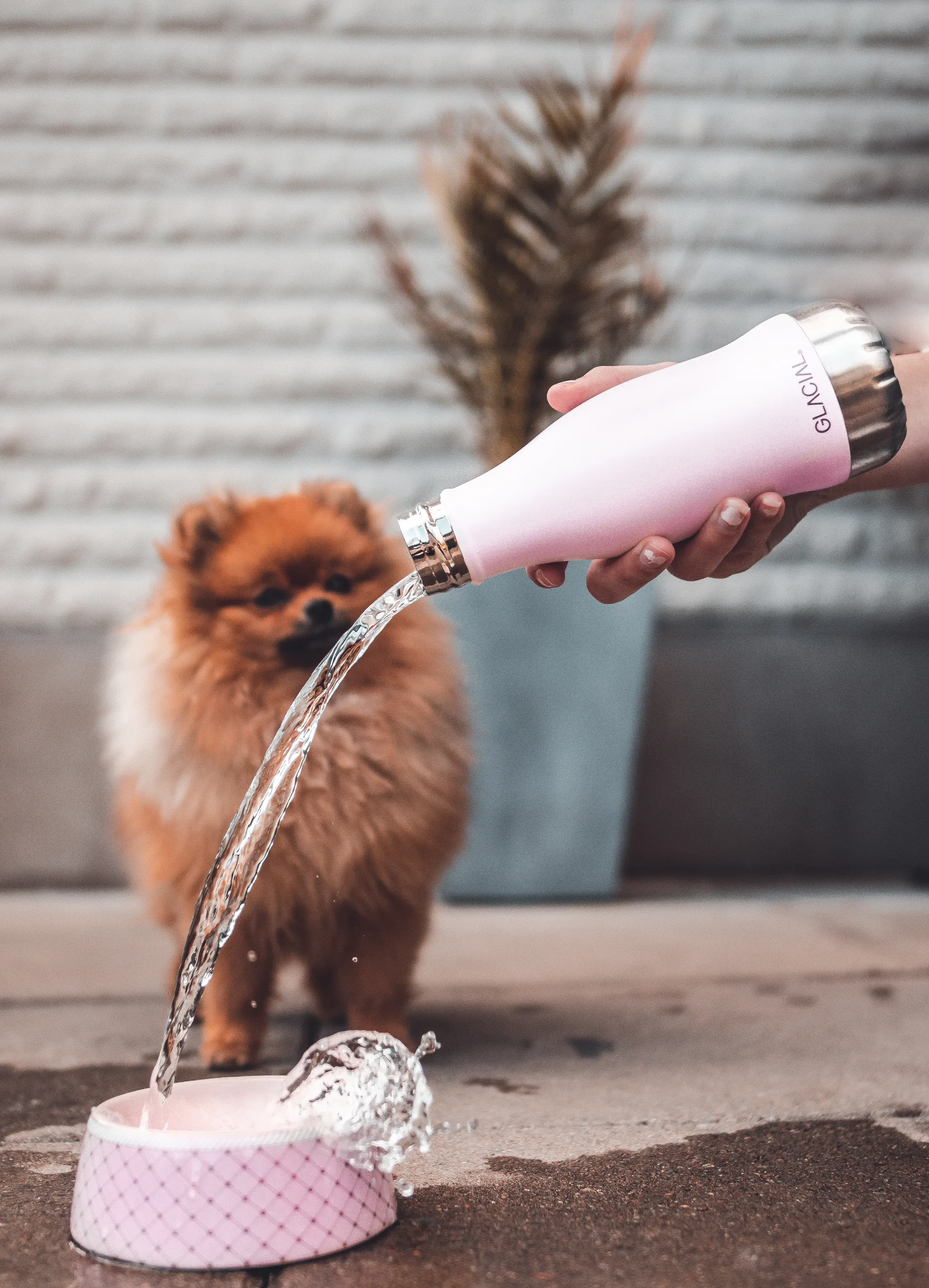 Botella de agua Glacial 280 ml, Matte pink powder Glacial