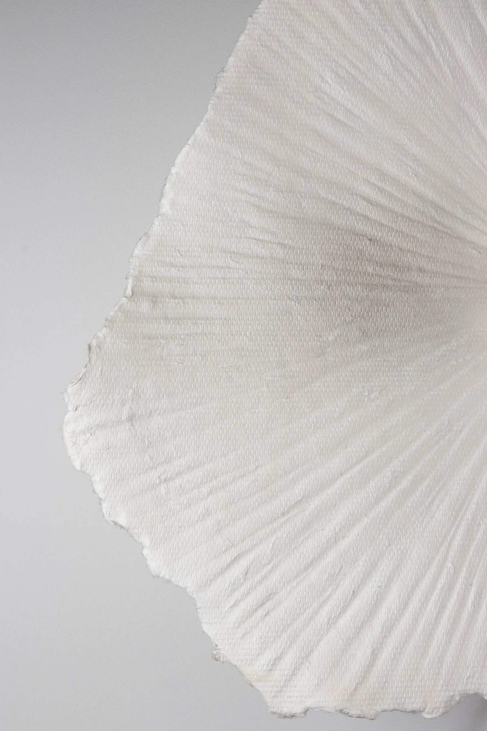 Plafón/Lámpara de pared Tropez Ø60 cm, Natur Globen Lighting