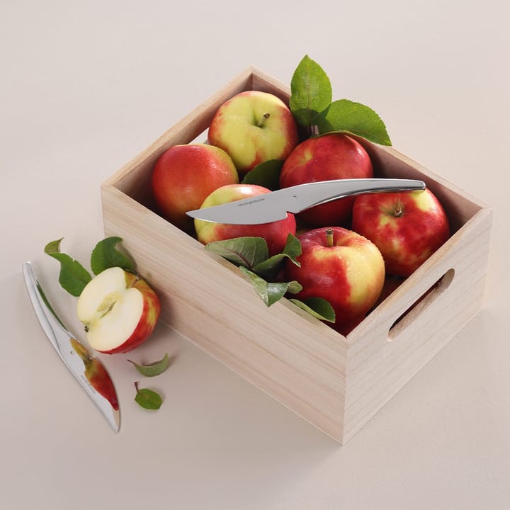 12 Cuchillos para fruta Hardanger, Acero inoxidable Hardanger Bestikk