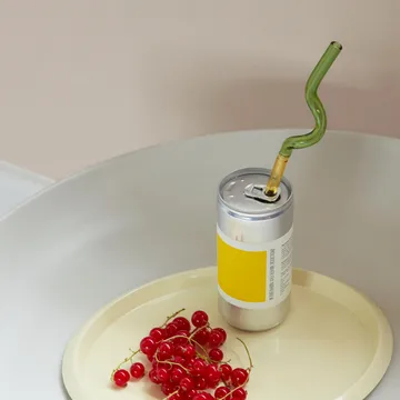 4 Pajitas Sip Spiral - Multi - HAY