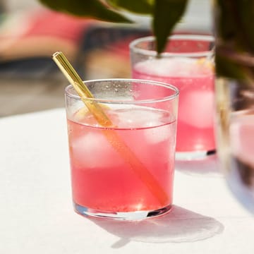 6 Pajitas Sip Cocktail - Multi - HAY