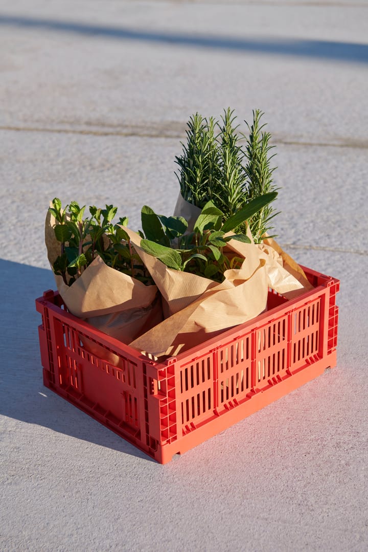 Cesta Colour Crate M 26,5x34,5 cm, Red HAY