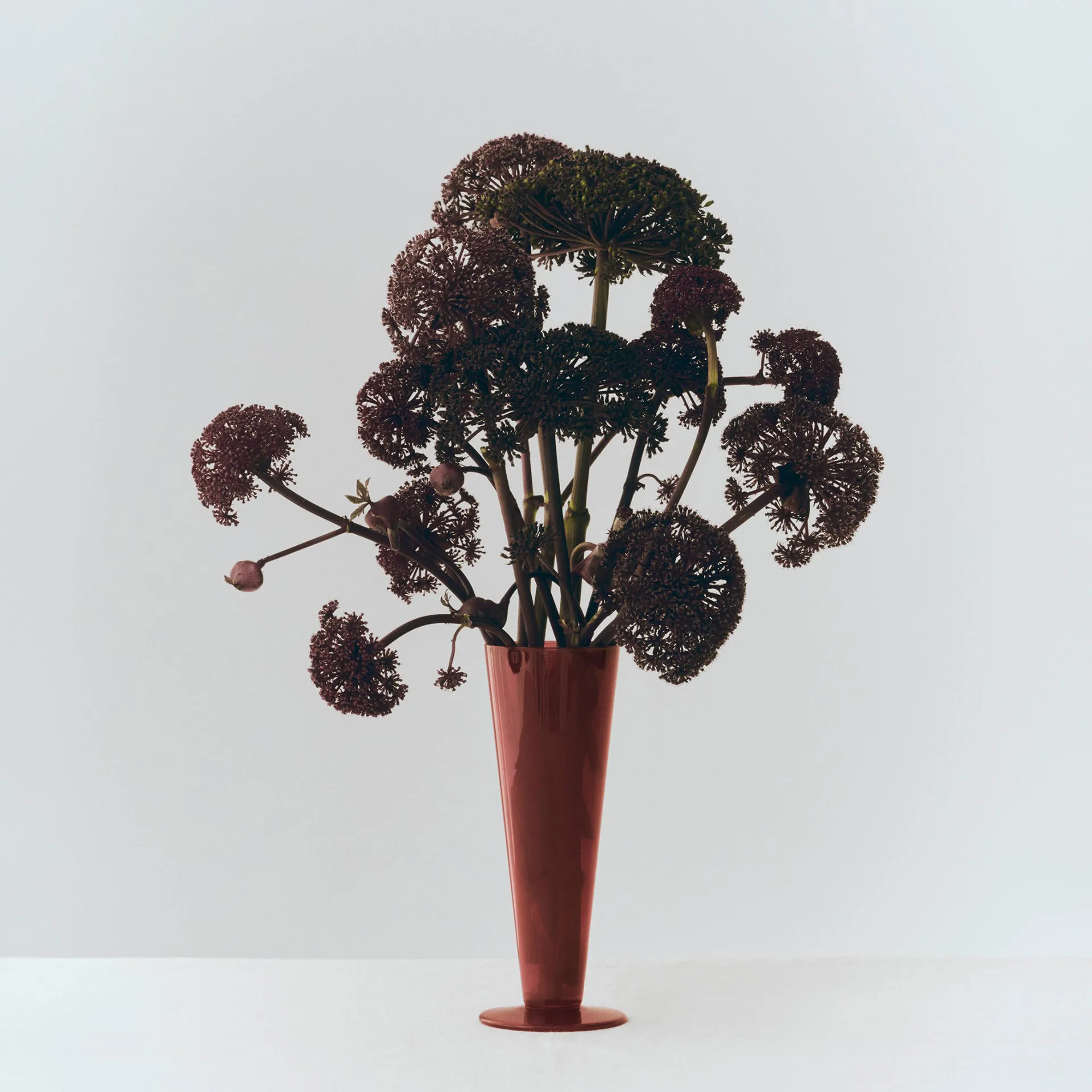 Jarrón Conical, Rose-dark red, medium HAY