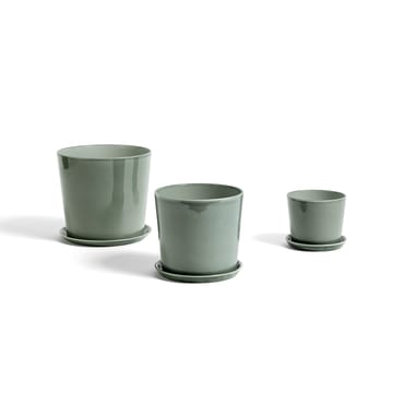 Maceta Botanical Family - Dusty green, xl, con plato ø22 cm - HAY