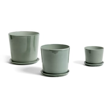 Plato para maceta Botanical Family L - Dusty green - HAY